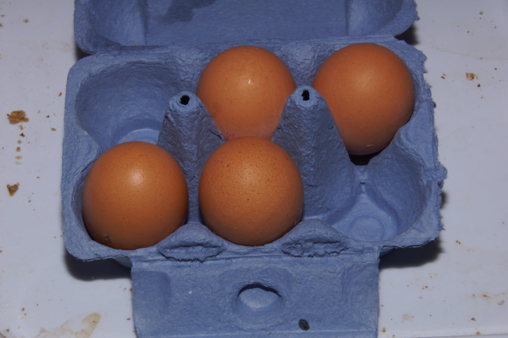 egg carton with four eggs